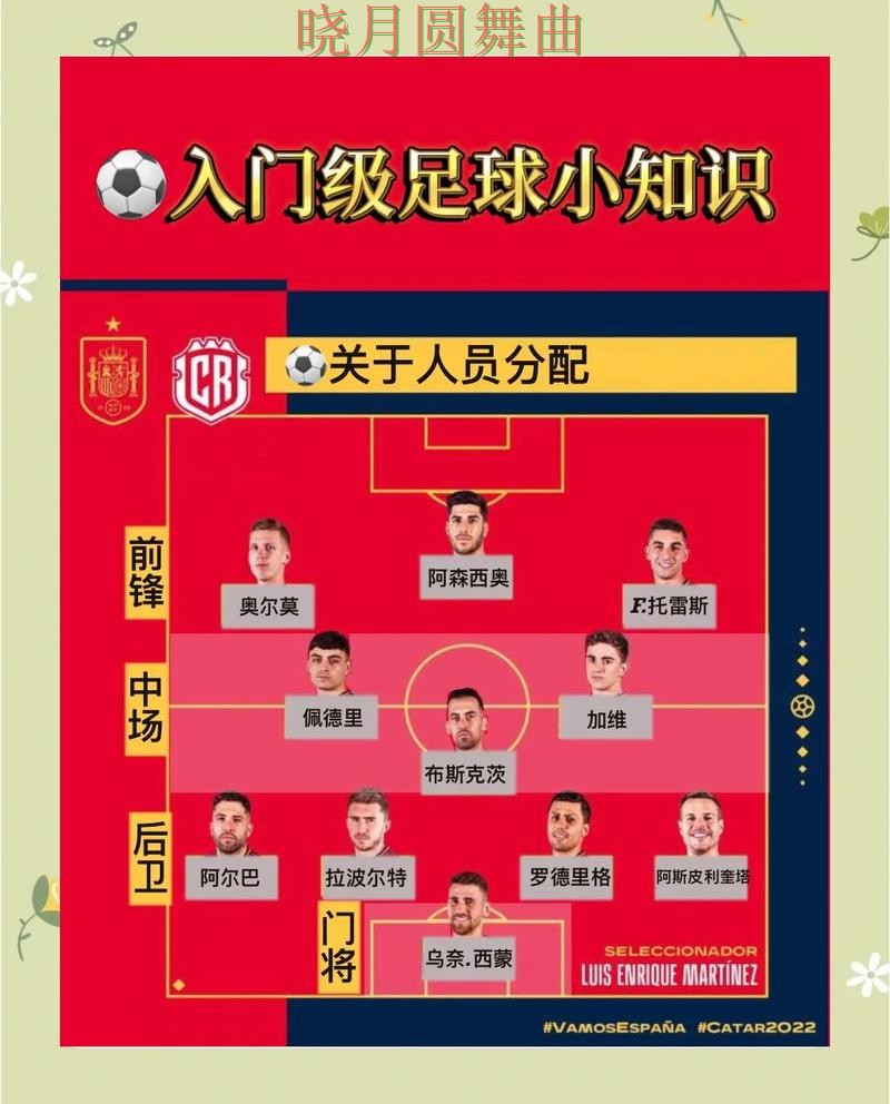 世界杯买球app新手入门规则解析,常见误区盘点